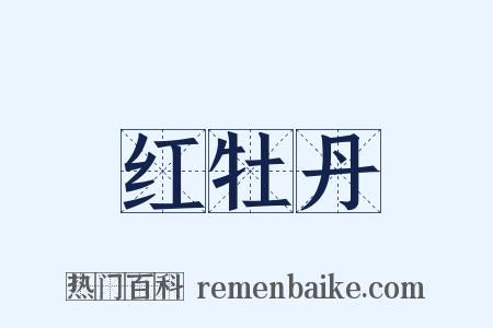 红牡丹是什么意思的图片